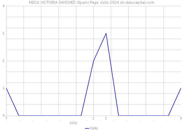 MECA VICTORIA SANCHEZ (Spain) Page visits 2024 