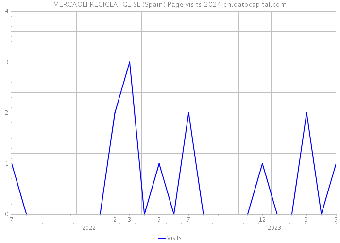 MERCAOLI RECICLATGE SL (Spain) Page visits 2024 