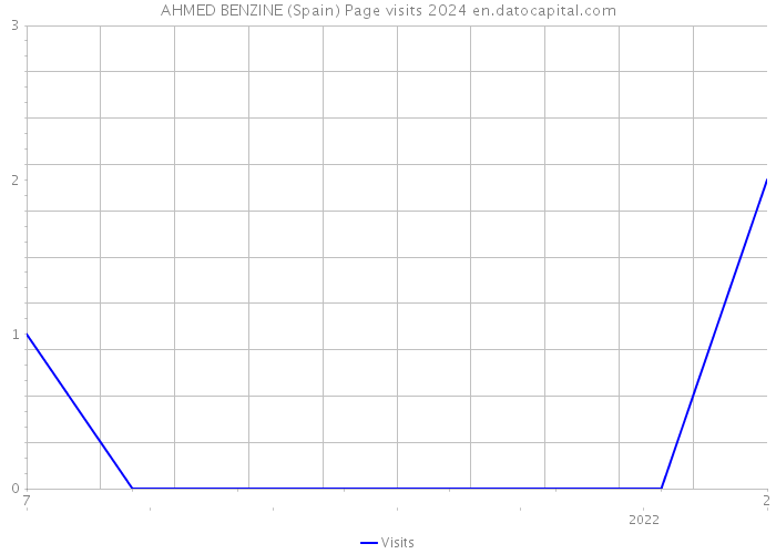 AHMED BENZINE (Spain) Page visits 2024 