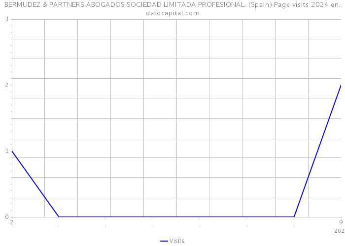 BERMUDEZ & PARTNERS ABOGADOS SOCIEDAD LIMITADA PROFESIONAL. (Spain) Page visits 2024 