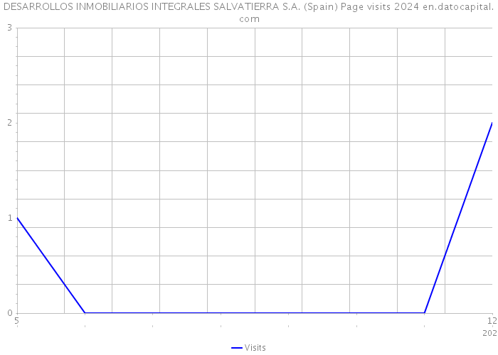 DESARROLLOS INMOBILIARIOS INTEGRALES SALVATIERRA S.A. (Spain) Page visits 2024 