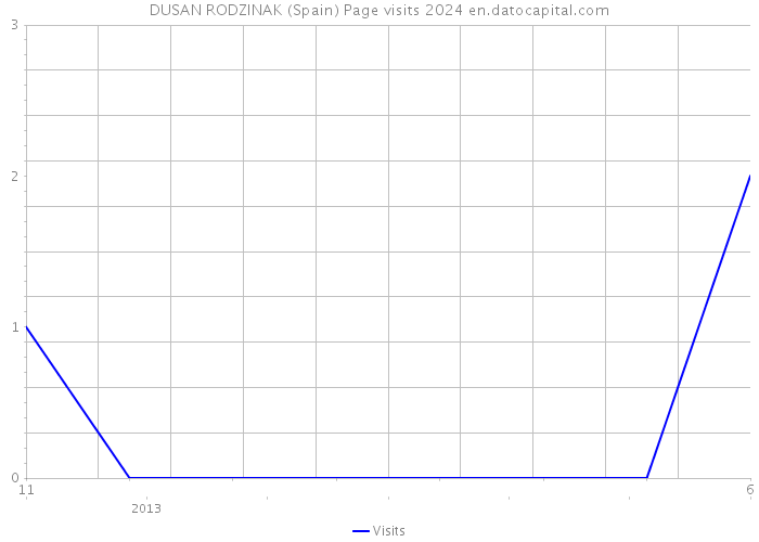 DUSAN RODZINAK (Spain) Page visits 2024 