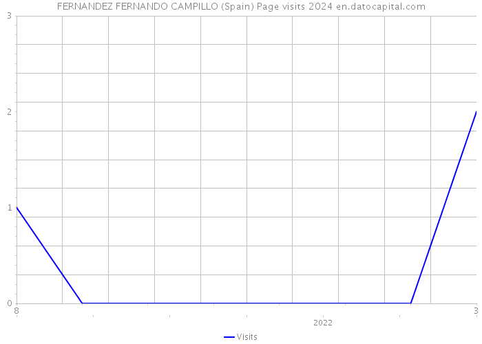 FERNANDEZ FERNANDO CAMPILLO (Spain) Page visits 2024 