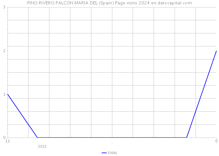 PINO RIVERO FALCON MARIA DEL (Spain) Page visits 2024 