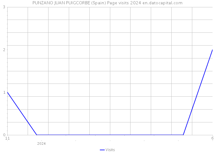 PUNZANO JUAN PUIGCORBE (Spain) Page visits 2024 