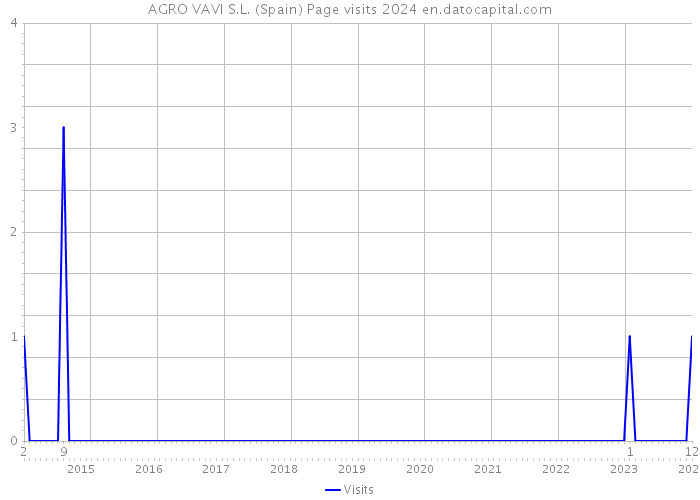 AGRO VAVI S.L. (Spain) Page visits 2024 