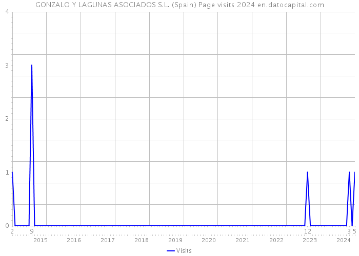 GONZALO Y LAGUNAS ASOCIADOS S.L. (Spain) Page visits 2024 