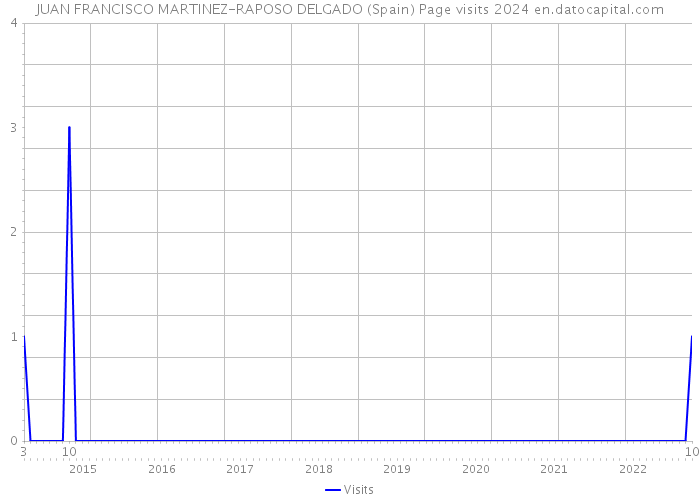 JUAN FRANCISCO MARTINEZ-RAPOSO DELGADO (Spain) Page visits 2024 