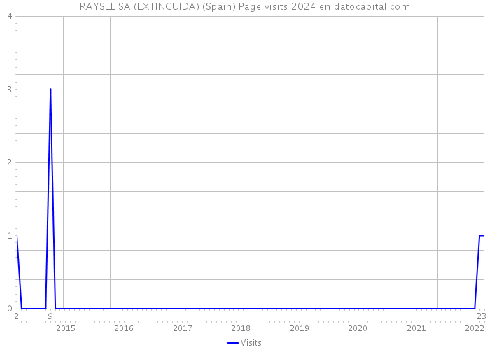 RAYSEL SA (EXTINGUIDA) (Spain) Page visits 2024 