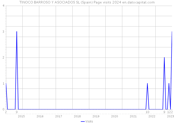 TINOCO BARROSO Y ASOCIADOS SL (Spain) Page visits 2024 
