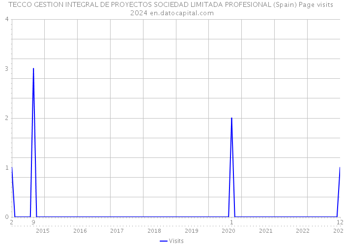 TECCO GESTION INTEGRAL DE PROYECTOS SOCIEDAD LIMITADA PROFESIONAL (Spain) Page visits 2024 