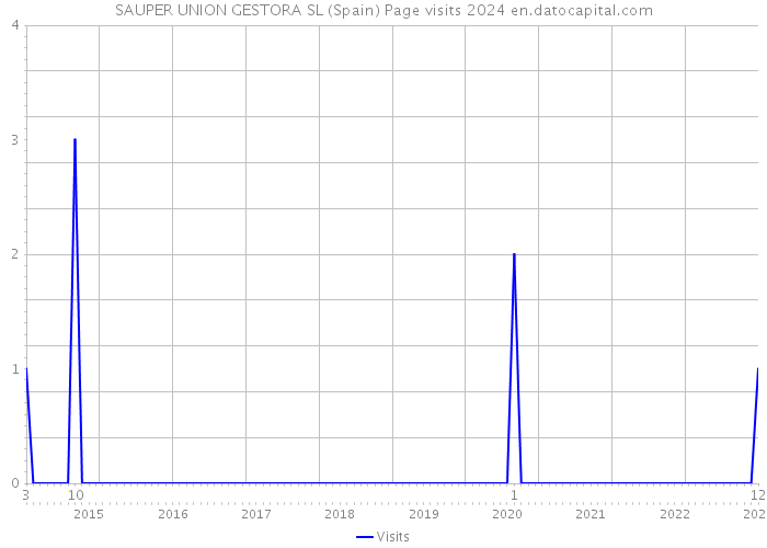 SAUPER UNION GESTORA SL (Spain) Page visits 2024 
