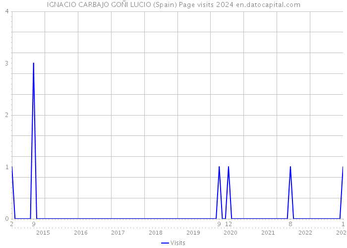 IGNACIO CARBAJO GOÑI LUCIO (Spain) Page visits 2024 