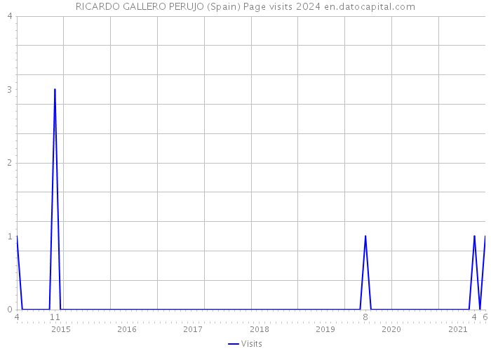 RICARDO GALLERO PERUJO (Spain) Page visits 2024 