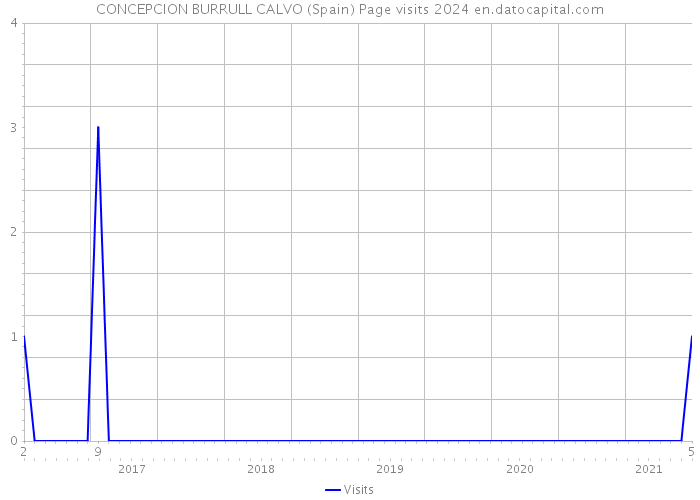 CONCEPCION BURRULL CALVO (Spain) Page visits 2024 