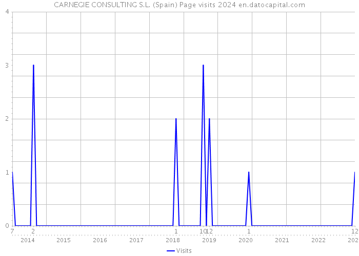 CARNEGIE CONSULTING S.L. (Spain) Page visits 2024 
