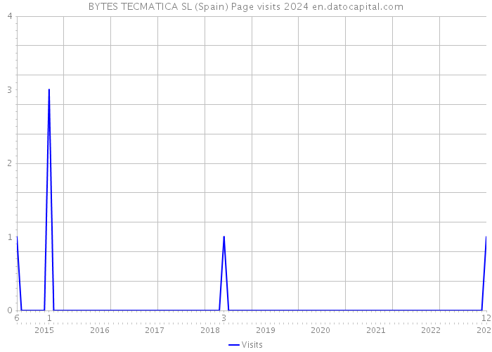 BYTES TECMATICA SL (Spain) Page visits 2024 