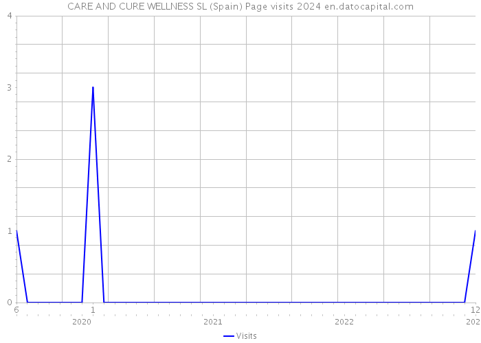 CARE AND CURE WELLNESS SL (Spain) Page visits 2024 