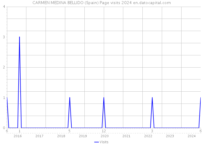 CARMEN MEDINA BELLIDO (Spain) Page visits 2024 