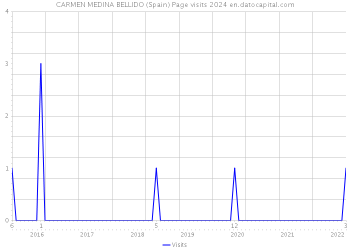 CARMEN MEDINA BELLIDO (Spain) Page visits 2024 