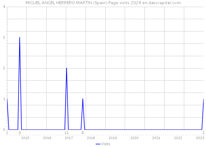 MIGUEL ANGEL HERRERO MARTIN (Spain) Page visits 2024 