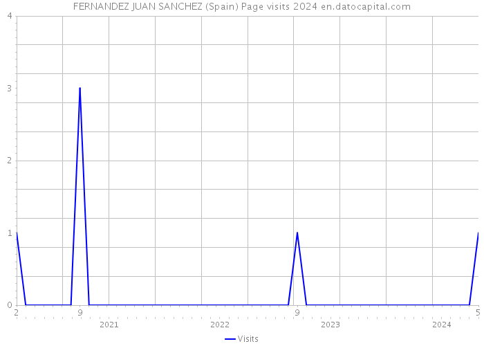 FERNANDEZ JUAN SANCHEZ (Spain) Page visits 2024 