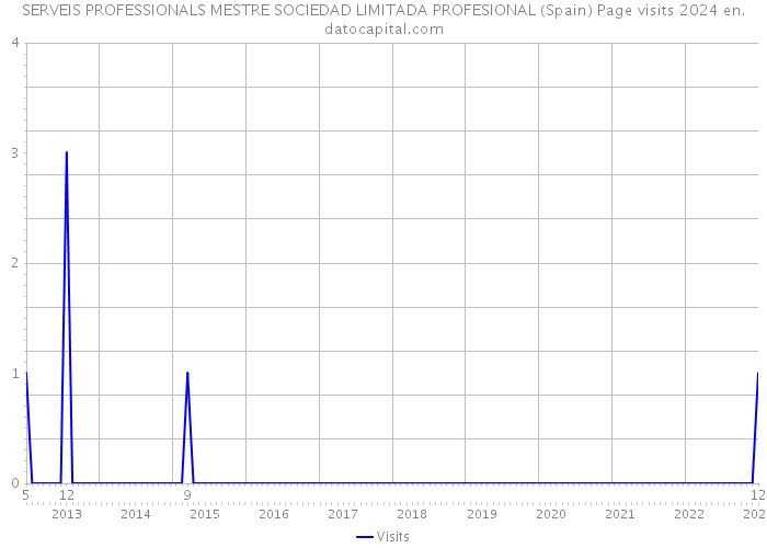 SERVEIS PROFESSIONALS MESTRE SOCIEDAD LIMITADA PROFESIONAL (Spain) Page visits 2024 