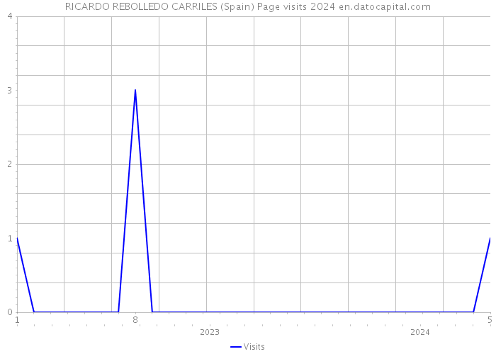RICARDO REBOLLEDO CARRILES (Spain) Page visits 2024 