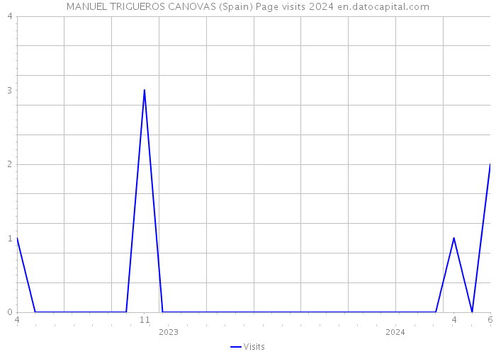 MANUEL TRIGUEROS CANOVAS (Spain) Page visits 2024 