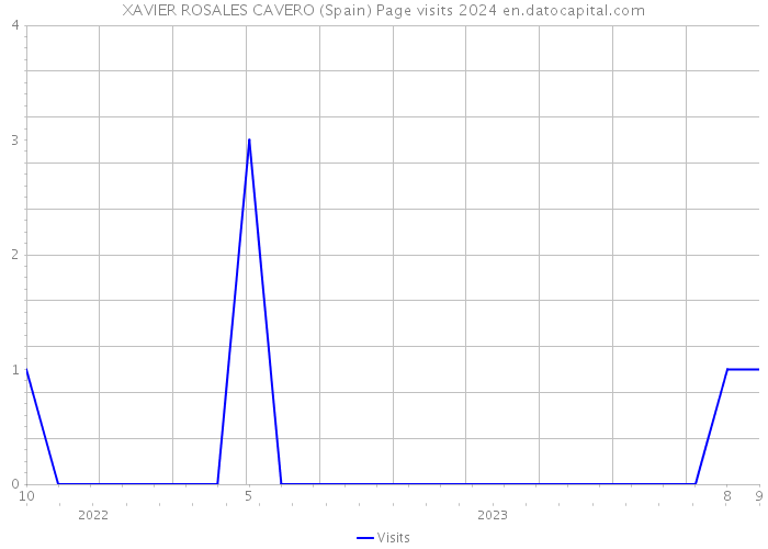 XAVIER ROSALES CAVERO (Spain) Page visits 2024 