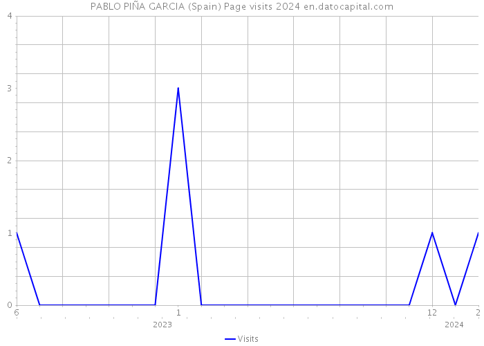 PABLO PIÑA GARCIA (Spain) Page visits 2024 