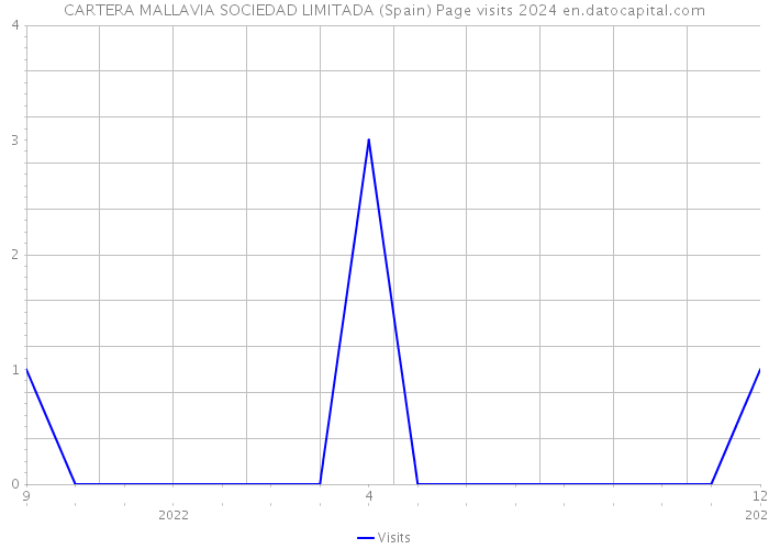 CARTERA MALLAVIA SOCIEDAD LIMITADA (Spain) Page visits 2024 