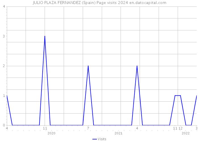 JULIO PLAZA FERNANDEZ (Spain) Page visits 2024 