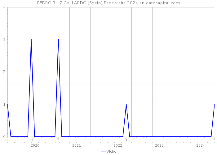 PEDRO RUIZ GALLARDO (Spain) Page visits 2024 