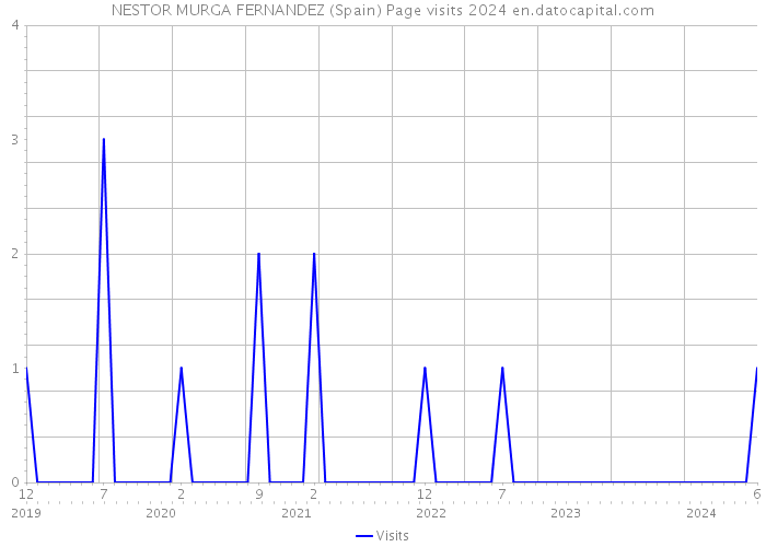 NESTOR MURGA FERNANDEZ (Spain) Page visits 2024 