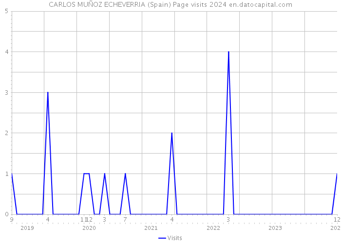 CARLOS MUÑOZ ECHEVERRIA (Spain) Page visits 2024 