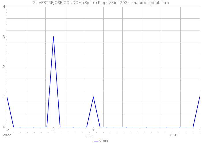 SILVESTREJOSE CONDOM (Spain) Page visits 2024 