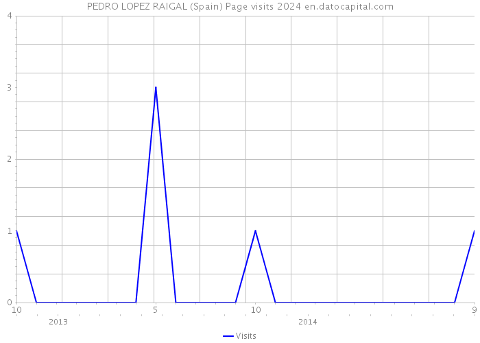 PEDRO LOPEZ RAIGAL (Spain) Page visits 2024 