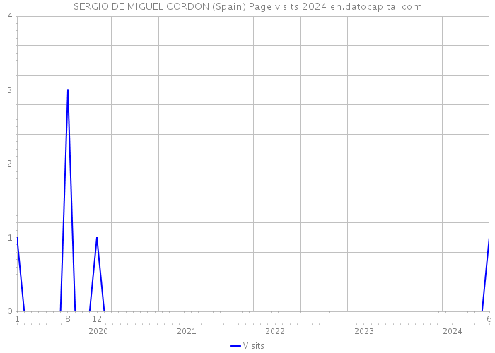 SERGIO DE MIGUEL CORDON (Spain) Page visits 2024 