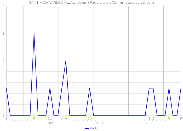 SANTIAGO CASERO PELAZ (Spain) Page visits 2024 