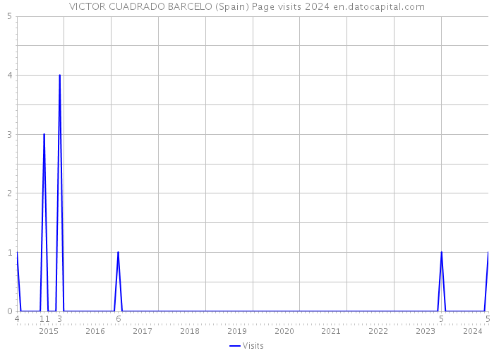 VICTOR CUADRADO BARCELO (Spain) Page visits 2024 