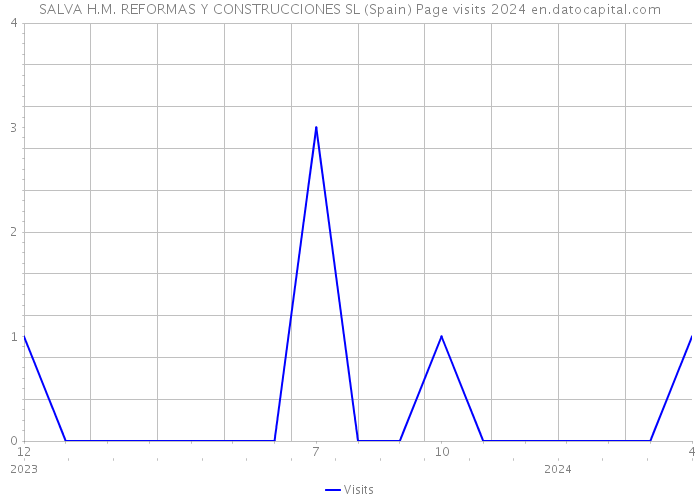 SALVA H.M. REFORMAS Y CONSTRUCCIONES SL (Spain) Page visits 2024 