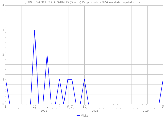JORGE SANCHO CAPARROS (Spain) Page visits 2024 