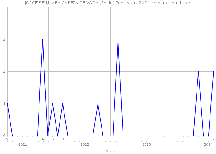 JORGE BENJUMEA CABEZA DE VACA (Spain) Page visits 2024 