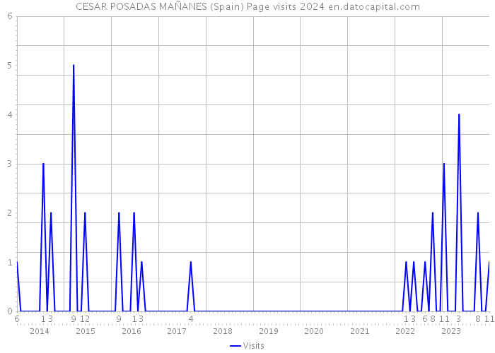CESAR POSADAS MAÑANES (Spain) Page visits 2024 
