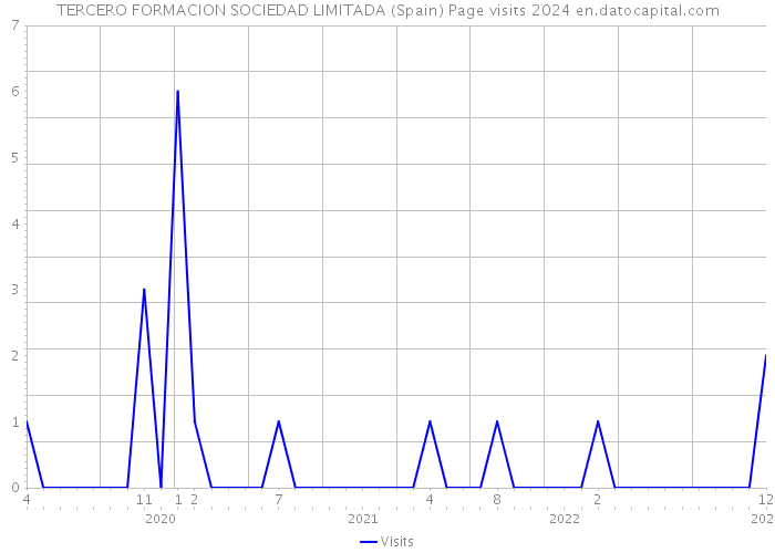 TERCERO FORMACION SOCIEDAD LIMITADA (Spain) Page visits 2024 