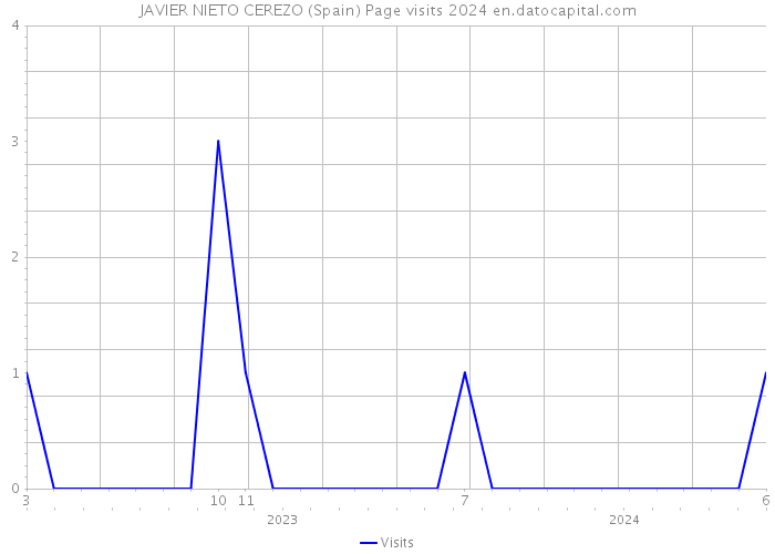 JAVIER NIETO CEREZO (Spain) Page visits 2024 