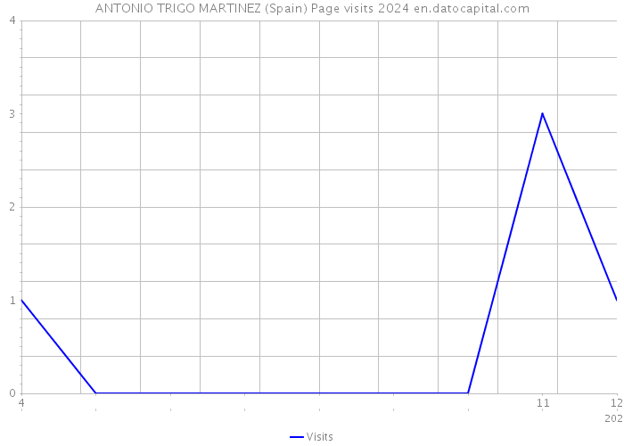 ANTONIO TRIGO MARTINEZ (Spain) Page visits 2024 