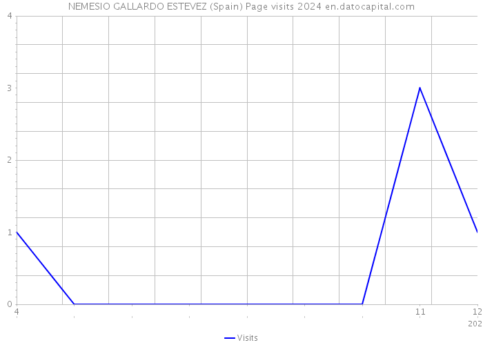 NEMESIO GALLARDO ESTEVEZ (Spain) Page visits 2024 