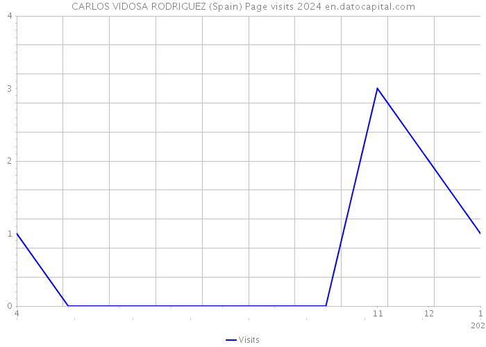 CARLOS VIDOSA RODRIGUEZ (Spain) Page visits 2024 